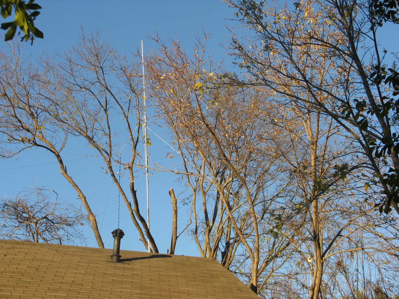 Antenna from front yard